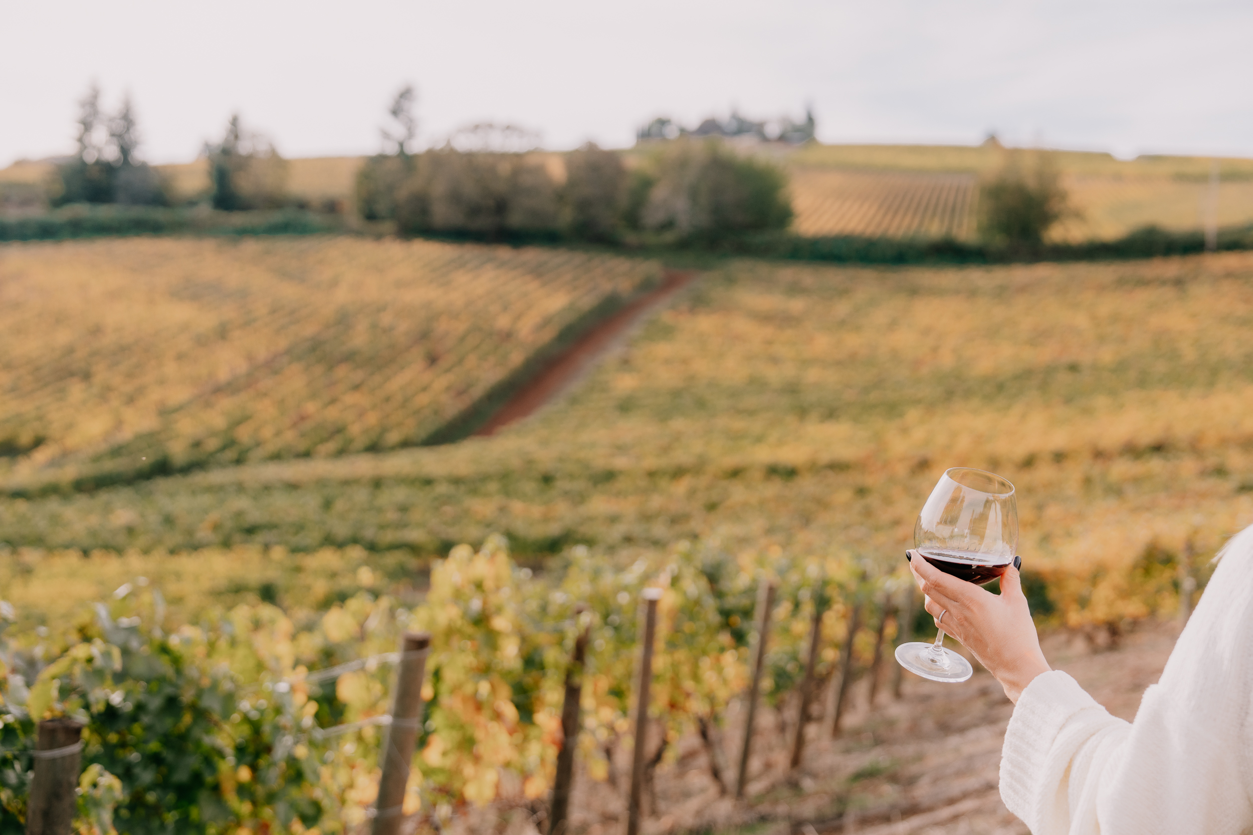 VERENADOHMEN_PHOTOGRAPHY_RESONANCE_DUNDEE_CHARDONNAY-SOIREE_03130