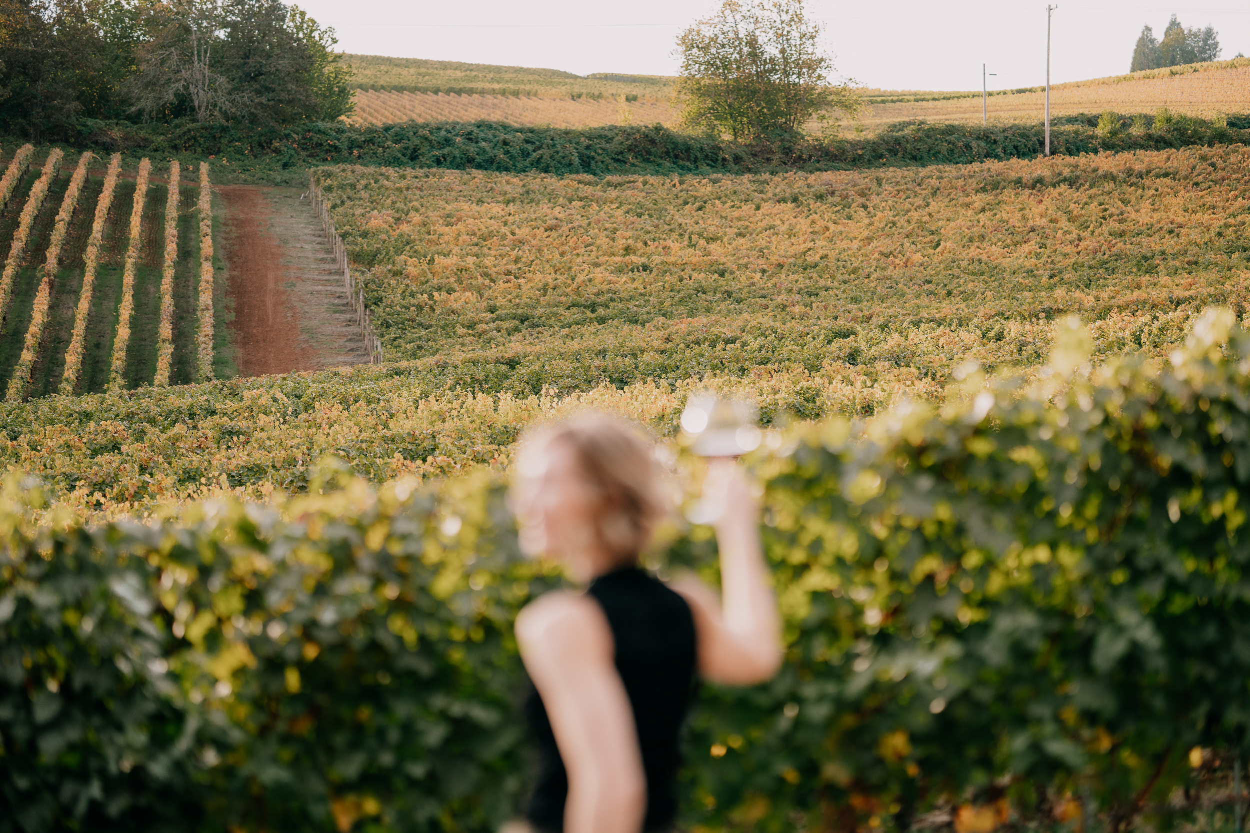 VERENADOHMEN_PHOTOGRAPHY_RESONANCE_DUNDEE_CHARDONNAY-SOIREE_03685